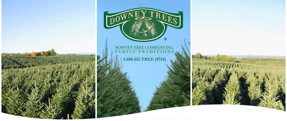 Downey Trees